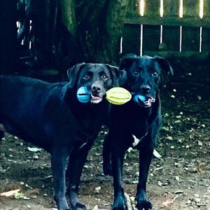 Meet your Posher, Thomas